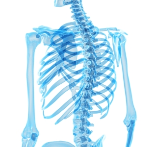 Rückenschmerzen: Ein Drittel der Deutschen geht mehrfach im Jahr nicht zur Arbeit